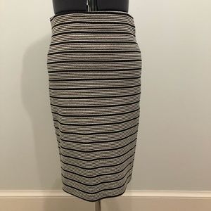 Loft Knit Pencil Skirt XS